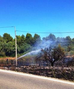 Bombers banyant un arbre per evitar que reprengui el foc.