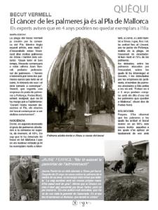 DíNGOLA ha dedicat bastants articles al problema del becut.