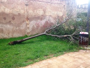 c1efefaaf35c366366e5427199b60971