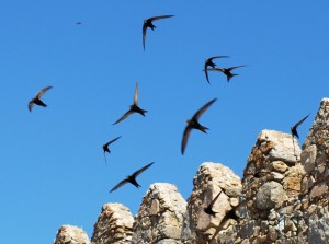 ???????????????????????????????