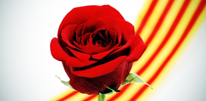 shutterstock_51292645