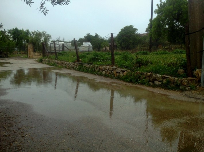 Aspecte d'un camí de Sineu, avui migdia.