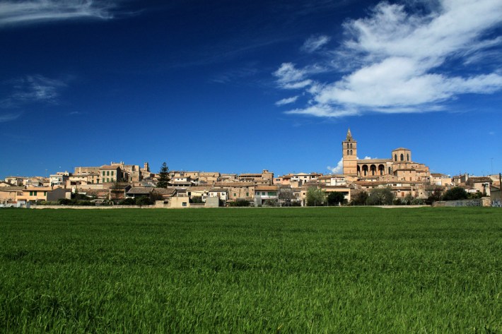 Aquí, en aquests terrenys, Utz Claassen projecte un Centre de Tecnificació Esportiva que donarà feina a 150 persones. 