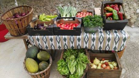 21768777_1765489013750839_4755242038785845926_o