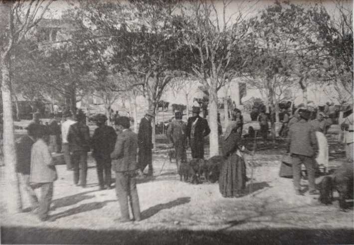 Foto d’inicis del segle XX [publicada a ROTGER, J. (1956). Sineu en la genealogía de David Glasgow Farragut. Panorama Balear, 59. Palma: Talleres Mossèn Alcover]
