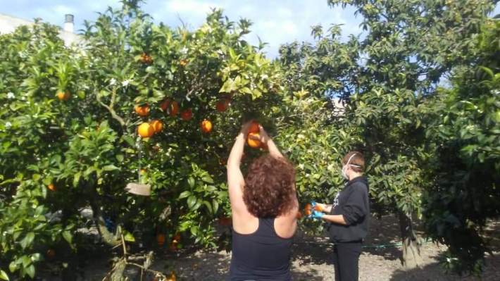 076467D7-EB38-4F9B-A546-A6432545CB71